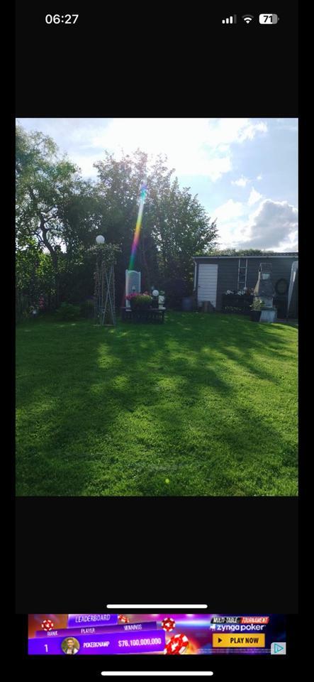 Schrebergarten