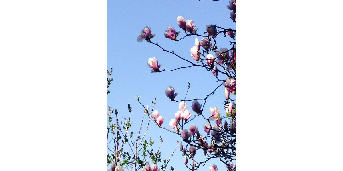 Hof-Wohngemeinschaft im Grünen – 3 gleich große Zi, ca.180 qm 5 zimmer