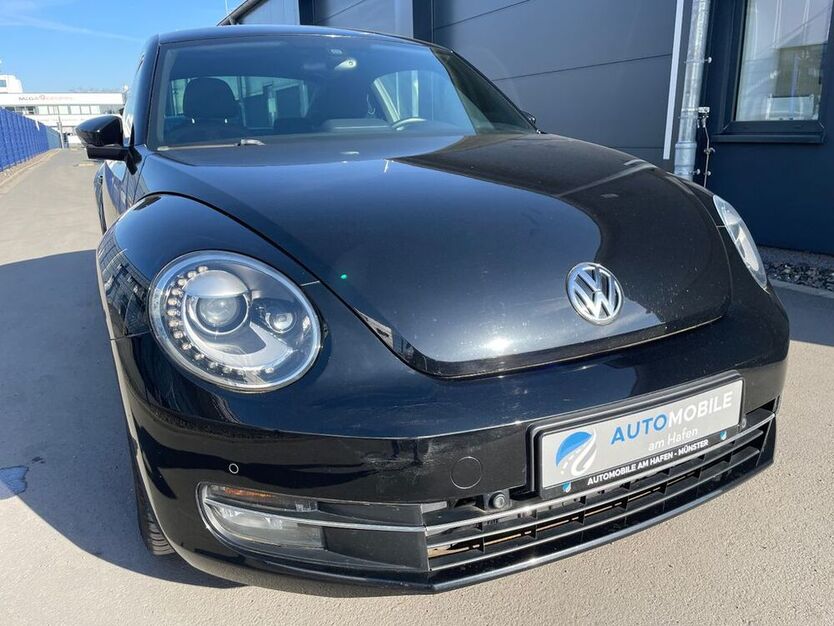 Beetle