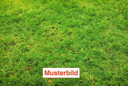 Grundstück zu verkaufen in Braunschweig 374.000 € 657 m²