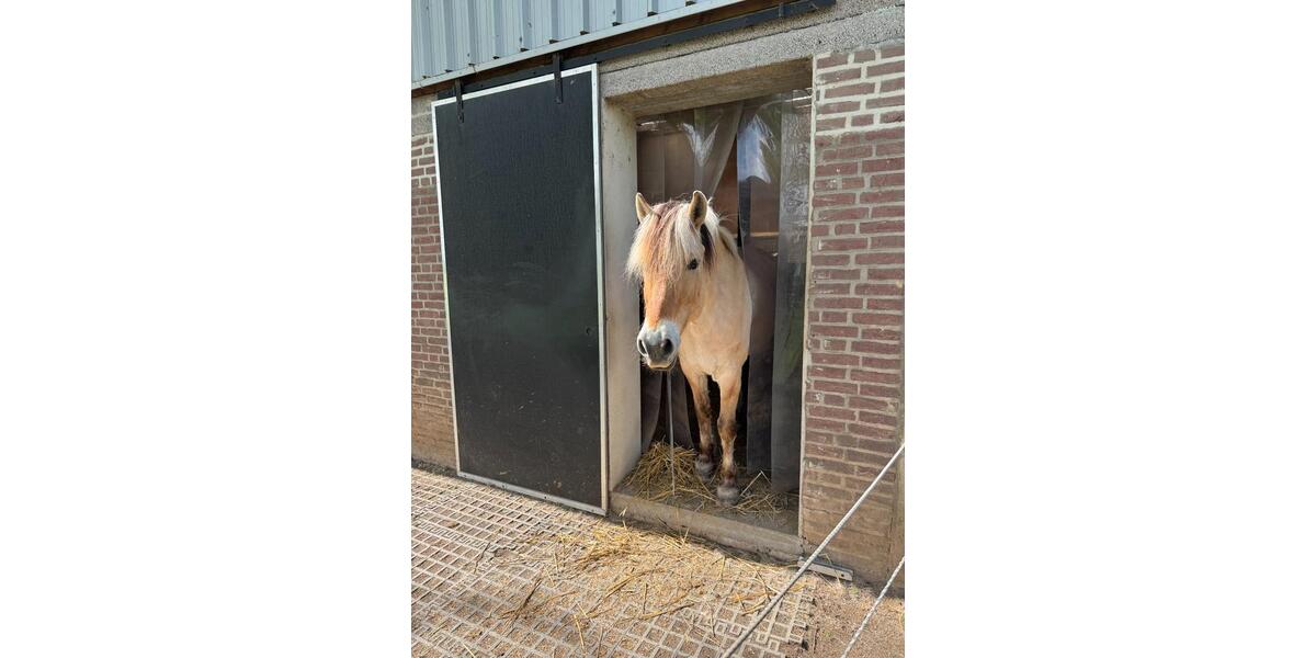Doppelhaushälfte Eschweiler - 4 Zimmer, 104 m&sup2;, 875&euro; | Angebot:26340229