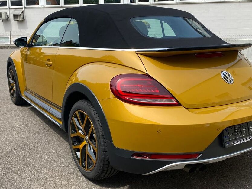 Beetle