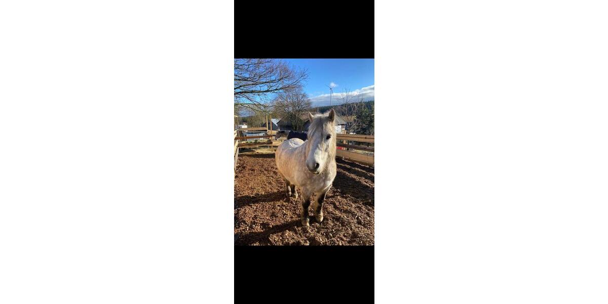 Gewerbeobjekt Röslau - 2.600&euro; | Angebot:24839049