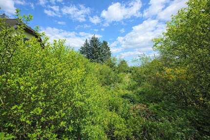 Grundstück Möser - 115.000&euro; | Angebot:26308346