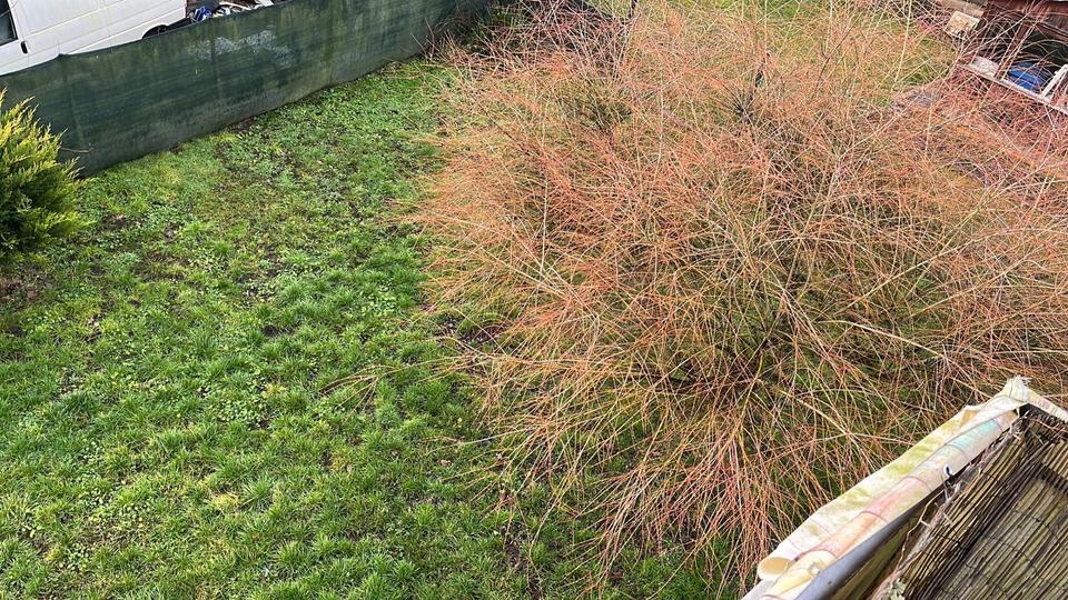 Doppelhaushälfte Bruchmühlbach-Miesau Miesau - 2 Zimmer, 145 m&sup2;, 1.100&euro; | Angebot:25569679