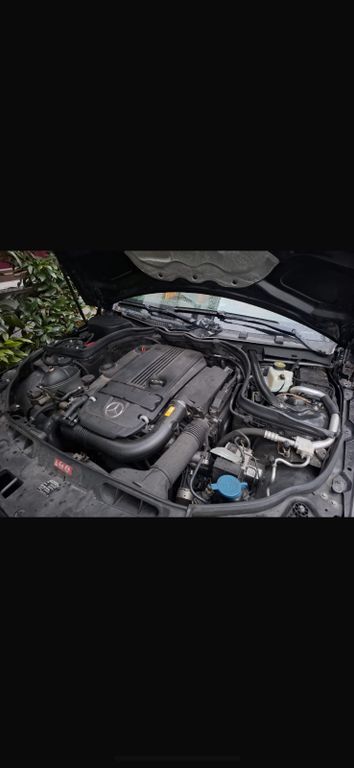 C 250