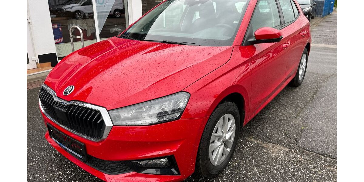 Skoda Fabia 6.831 km 17.990 &euro; Tessin 18195