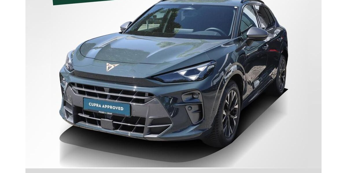 Cupra Terramar 6.150 km 39.840 &euro; Forchheim 91301