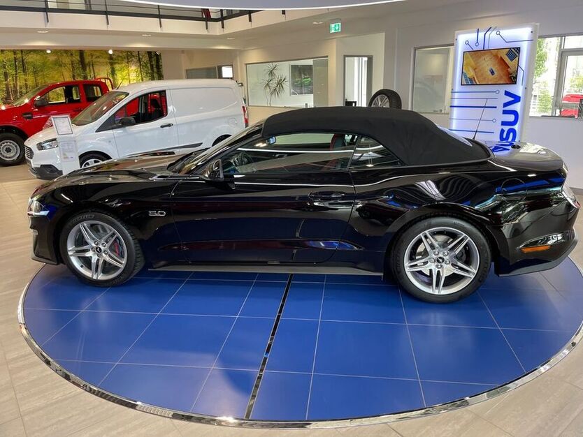 Mustang