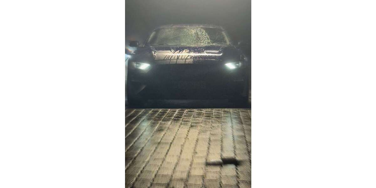 Ford Mustang 87.000 km 31.000 &euro; Rheinberg 47495