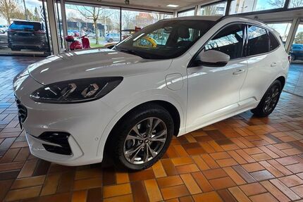 Ford Kuga 81.258 km 22.990 &euro; Gronau 48599