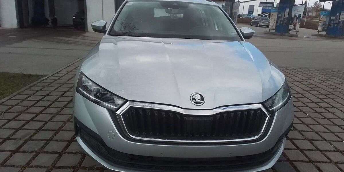 Skoda Octavia 167.630 km 12.971 &euro; Hemau 93155
