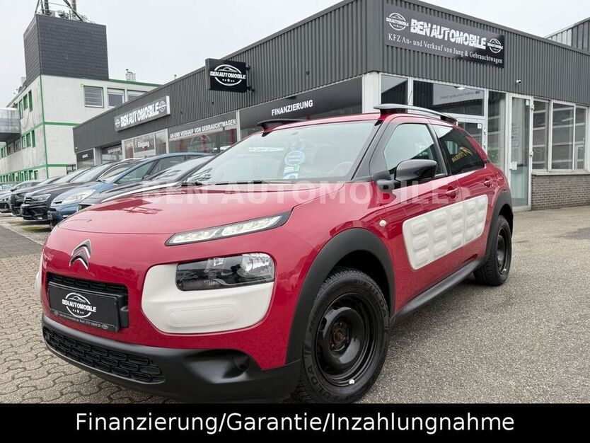 C4 Cactus