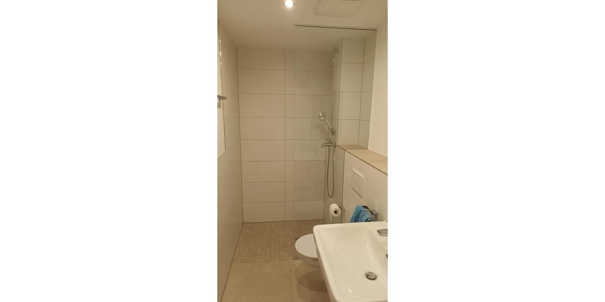 Etagenwohnung Trier Feyen-Weismark - 1 Zimmer, 27 m&sup2;, 490&euro; | Angebot:26413033