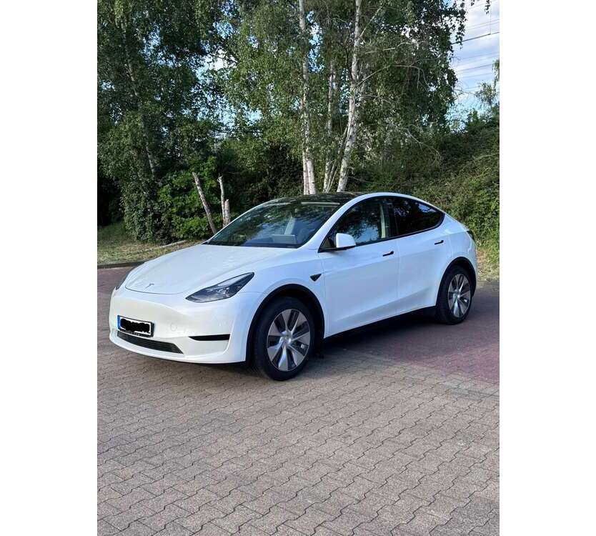 Model Y