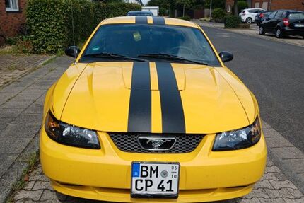 Ford Mustang 132.955 km 7.500 € Pulheim 50259