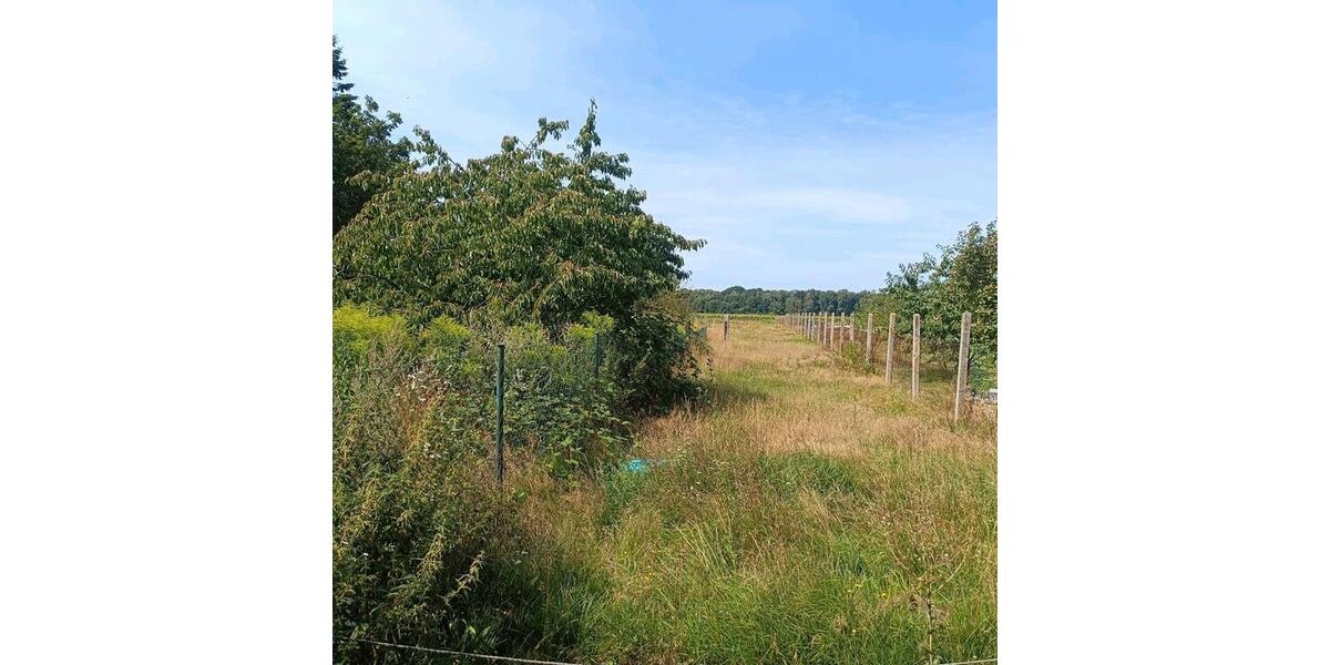 Einfamilienhaus Arendsee (Altmark) - 4 Zimmer, 120 m&sup2;, 65.000&euro; | Angebot:26456057