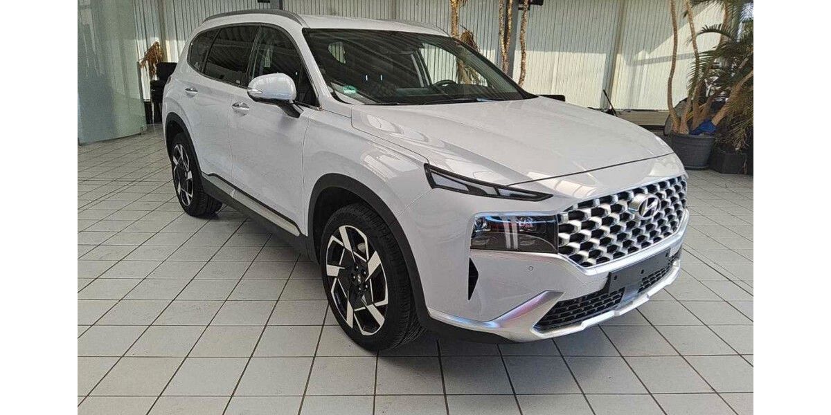 Hyundai SANTA FE 54.000 km 32.890 &euro; Helmstedt 38350