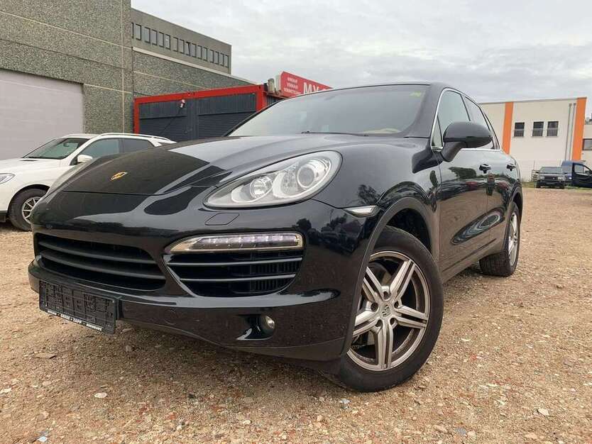 Cayenne
