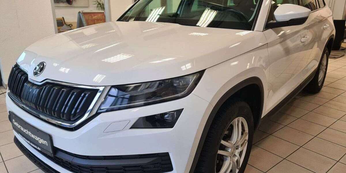 Skoda Kodiaq 221.110 km 16.490 &euro; Mülheim-Kärlich 56218