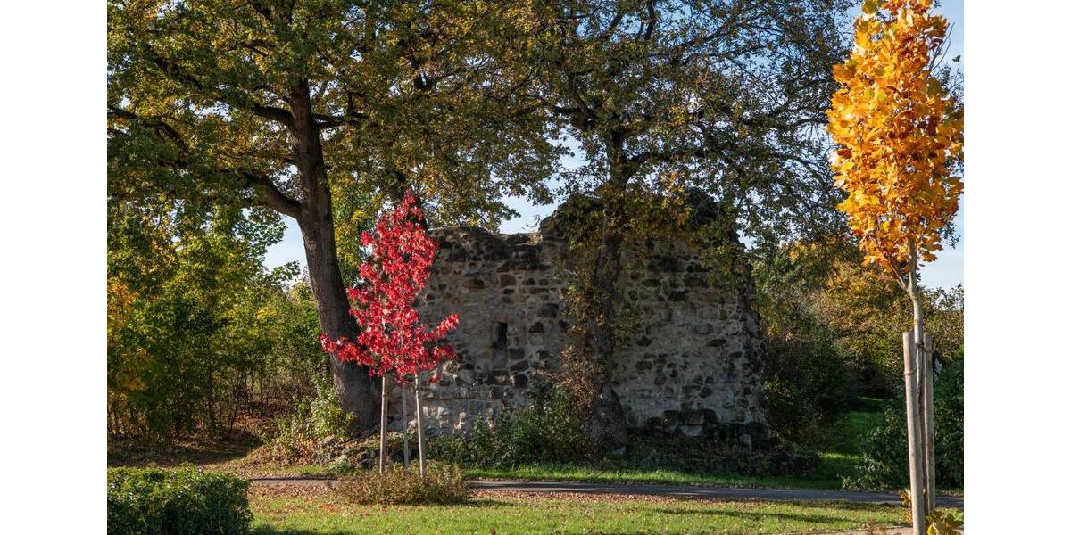 Reihenhaus Ibbenbüren - 5 Zimmer, 181 m&sup2;, 2.252&euro; | Angebot:26254374