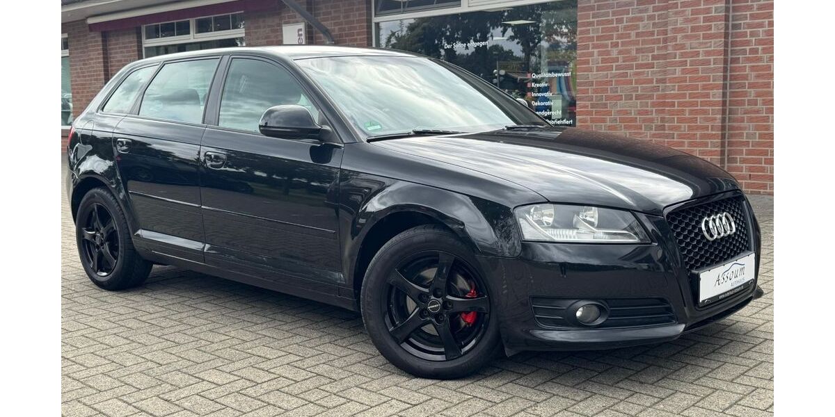 Audi A3 259.597 km 4.499 &euro; Steinfeld 49439