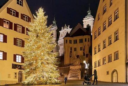 Gewerbeobjekt Weingarten - 900&euro; | Angebot:24919479