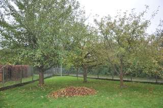 Grundstück zu verkaufen in Hattersheim am Main 1.160.000 € 889 m² zimmer