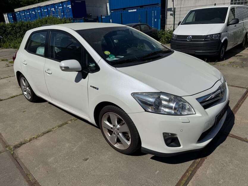 Auris