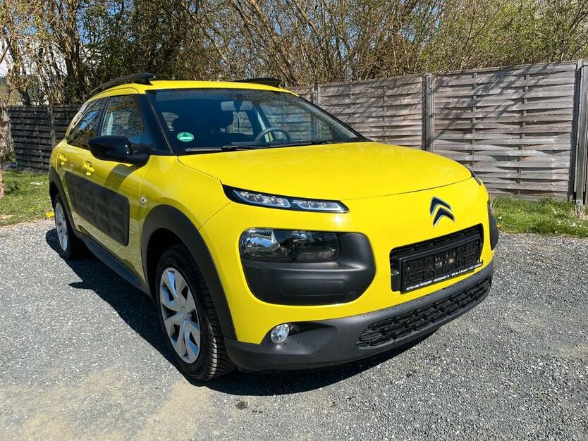 C4 Cactus