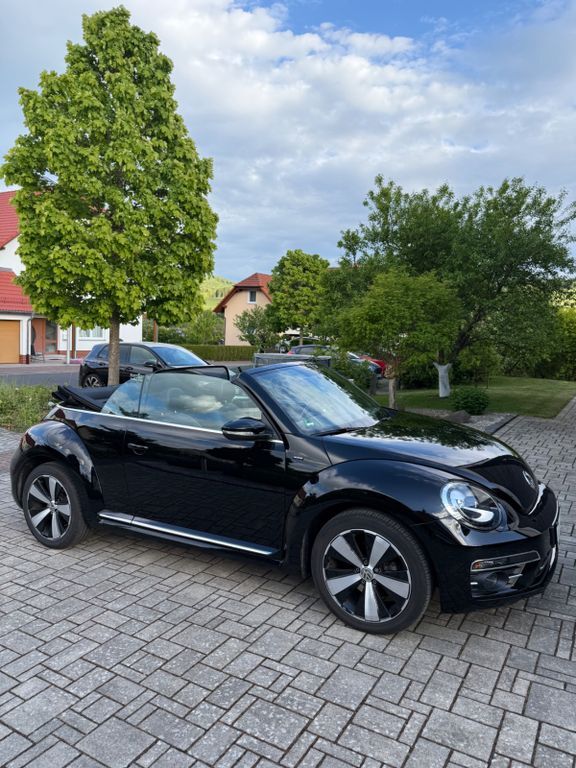 Beetle