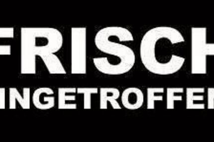 Ford Fiesta 49.233 km 10.500 &euro; Wolgast 17438