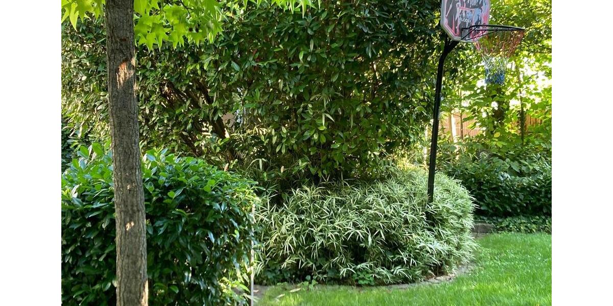 Einfamilienhaus Elz - 6 Zimmer, 261 m&sup2;, 380.000&euro; | Angebot:26944562