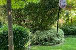 Einfamilienhaus Elz - 6 Zimmer, 261 m&sup2;, 380.000&euro; | Angebot:26944562