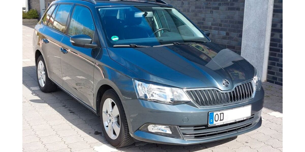 Skoda Fabia 154.000 km 6.600 &euro; Bad Oldesloe 23843