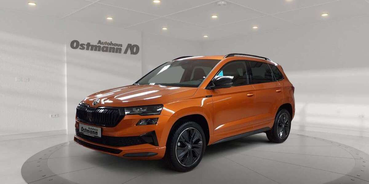 Skoda Karoq 2.500 km 39.930 &euro; Melsungen 34212