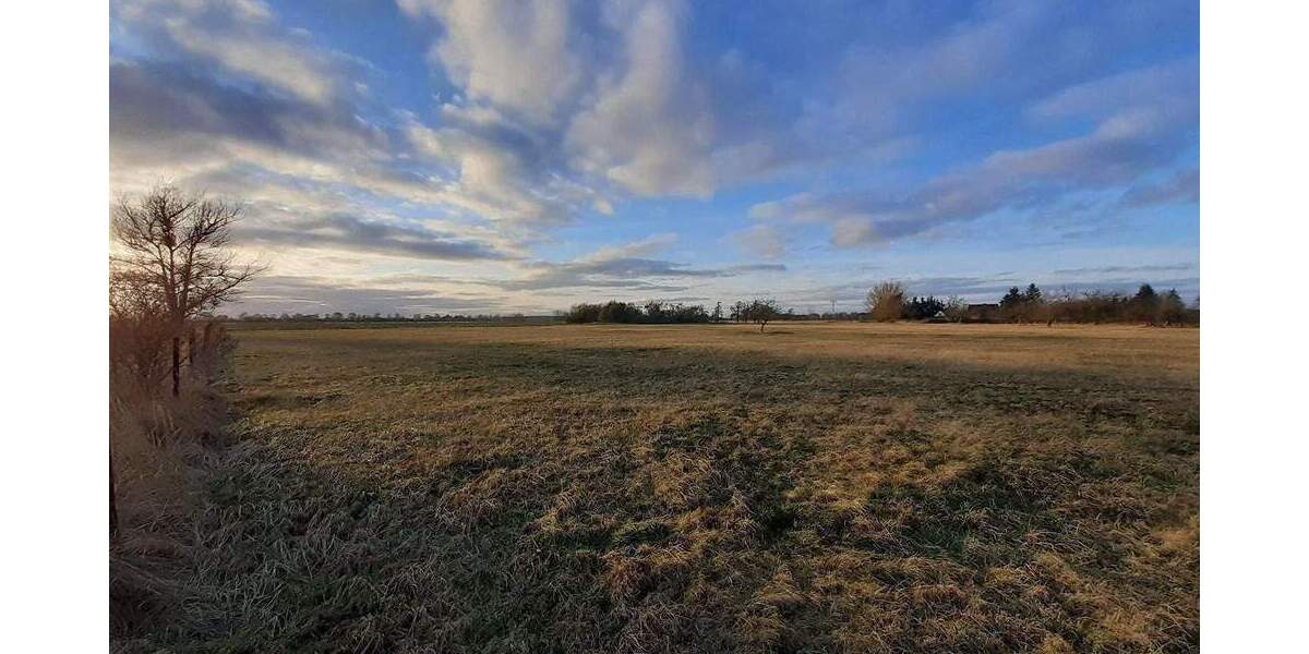 Grundstück Ducherow Schwerinsburg - 56.000&euro; | Angebot:26055327