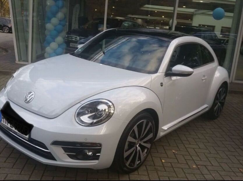 Beetle