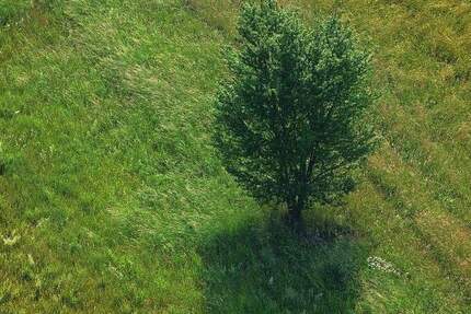 Grundstück Bad Dürrheim - 320.000&euro; | Angebot:23943713