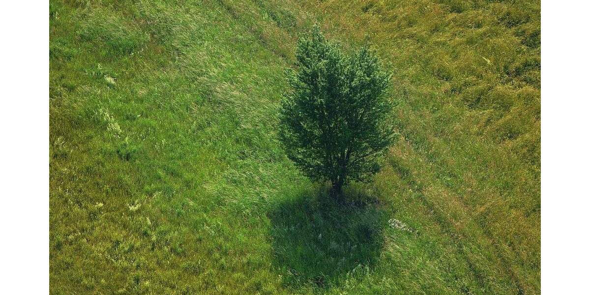 Grundstück Bad Dürrheim - 320.000&euro; | Angebot:23943713