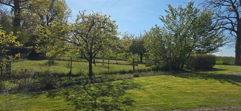 Einfamilienhaus Ennigerloh - 10 Zimmer, 250 m&sup2;, 580.000&euro; | Angebot:26702151