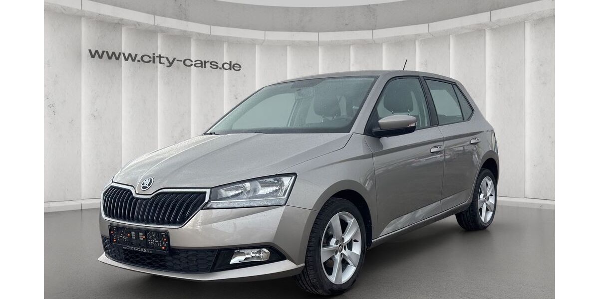 Skoda Fabia 63.109 km 9.990 &euro; Brandenburg 14772
