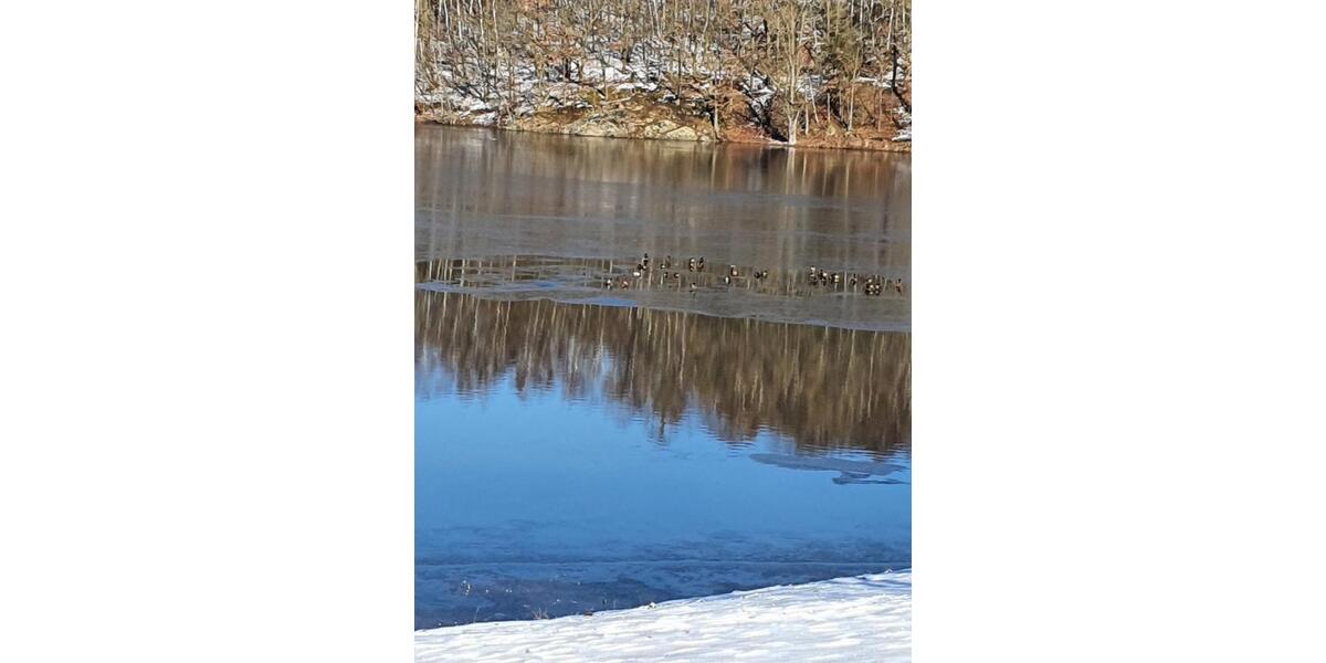 Bungalow Zwickau - 1 Zimmer, 25 m&sup2;, 13.500&euro; | Angebot:25710722