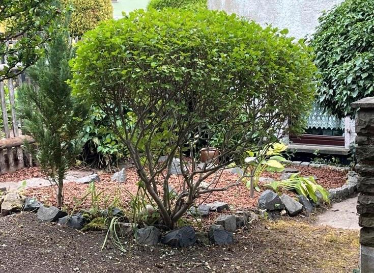 Einfamilienhaus Elsteraue - 5 Zimmer, 130 m&sup2;, 150.000&euro; | Angebot:24314796