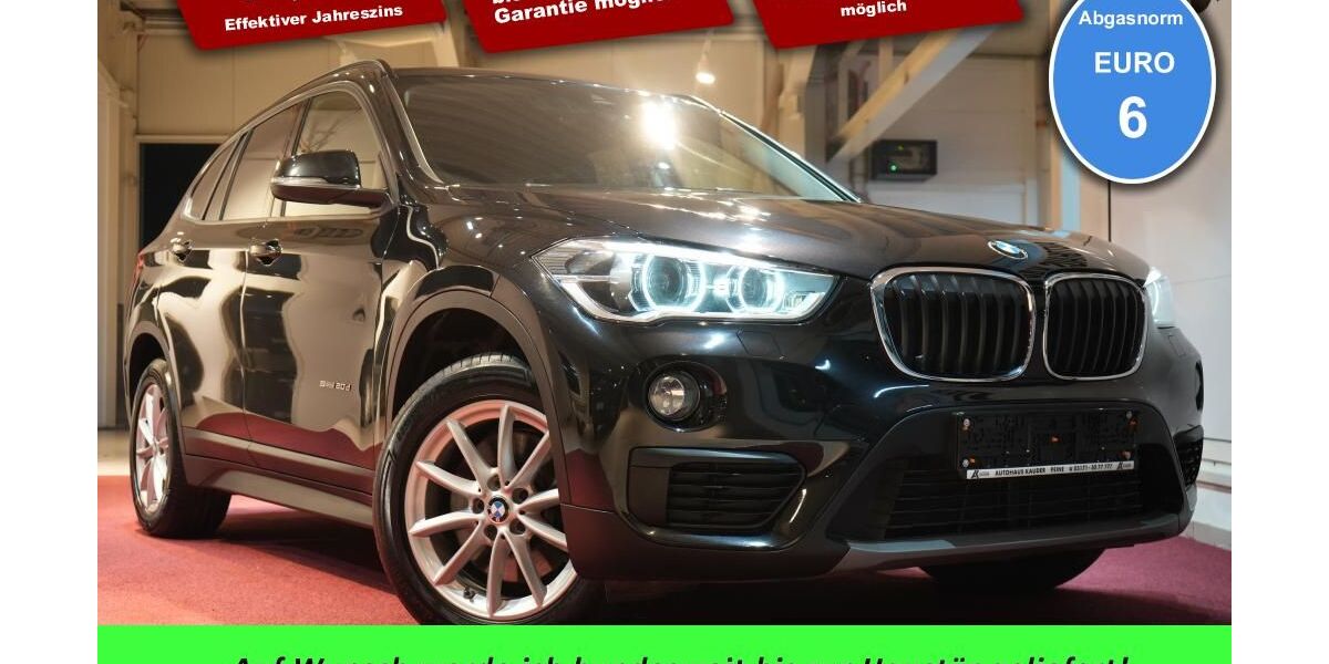 BMW X1 118.813 km 17.480 &euro; Peine 31228