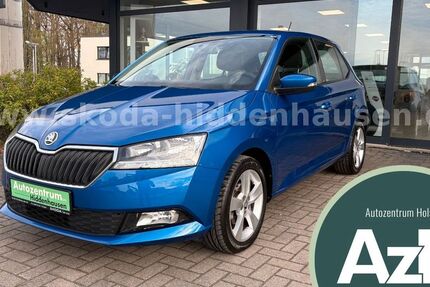 Skoda Fabia 47.921 km 10.790 &euro; Hiddenhausen 32120