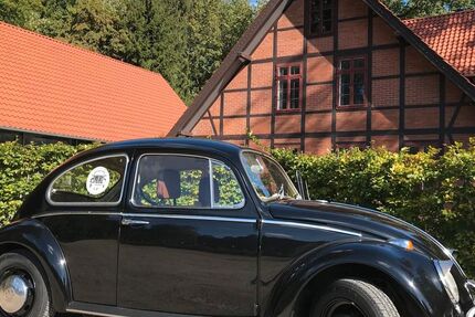 VW Käfer 52.113 km 12.990 € Deutsch-Evern 21407