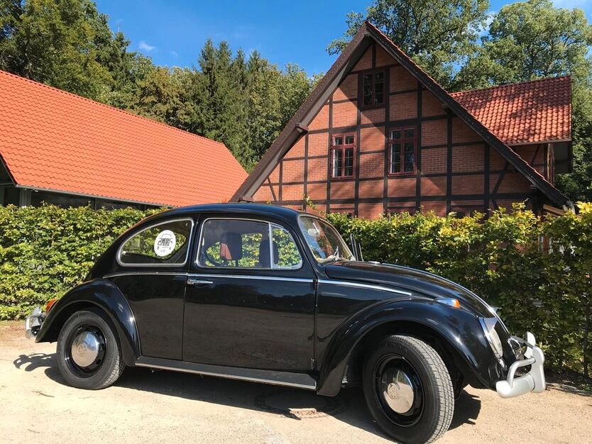VW Käfer 52.113 km 12.990 € Deutsch-Evern 21407