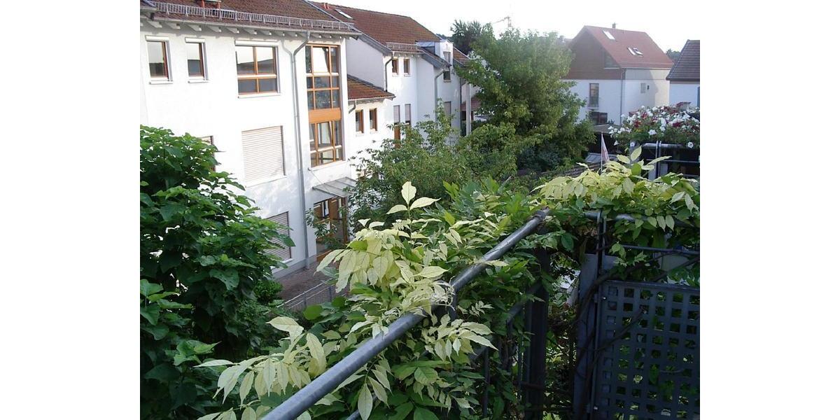 Dachgeschoßwohnung Mainz Laubenheim - 1 Zimmer, 33 m&sup2;, 625&euro; | Angebot:26340253