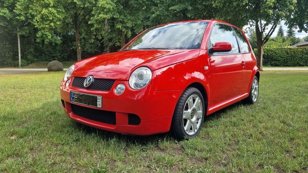 Lupo